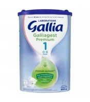 Gallia Galliagest Premium 1 Lait En Poudre B/800g à Lavernose-Lacasse