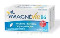 Magnevie B6 100 Mg/10 Mg Comprimés Pelliculés 2plq/60 (120) à Lavernose-Lacasse