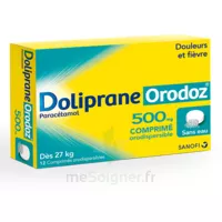 Dolipraneorodoz 500 Mg, Comprimé Orodispersible à Lavernose-Lacasse