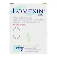 Lomexin 600 Mg Caps Molle Vaginale Plq/1 à Lavernose-Lacasse
