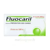 Fluocaril Bi-fluoré 250 Mg Pâte Dentifrice Menthe 2t/125ml à Lavernose-Lacasse